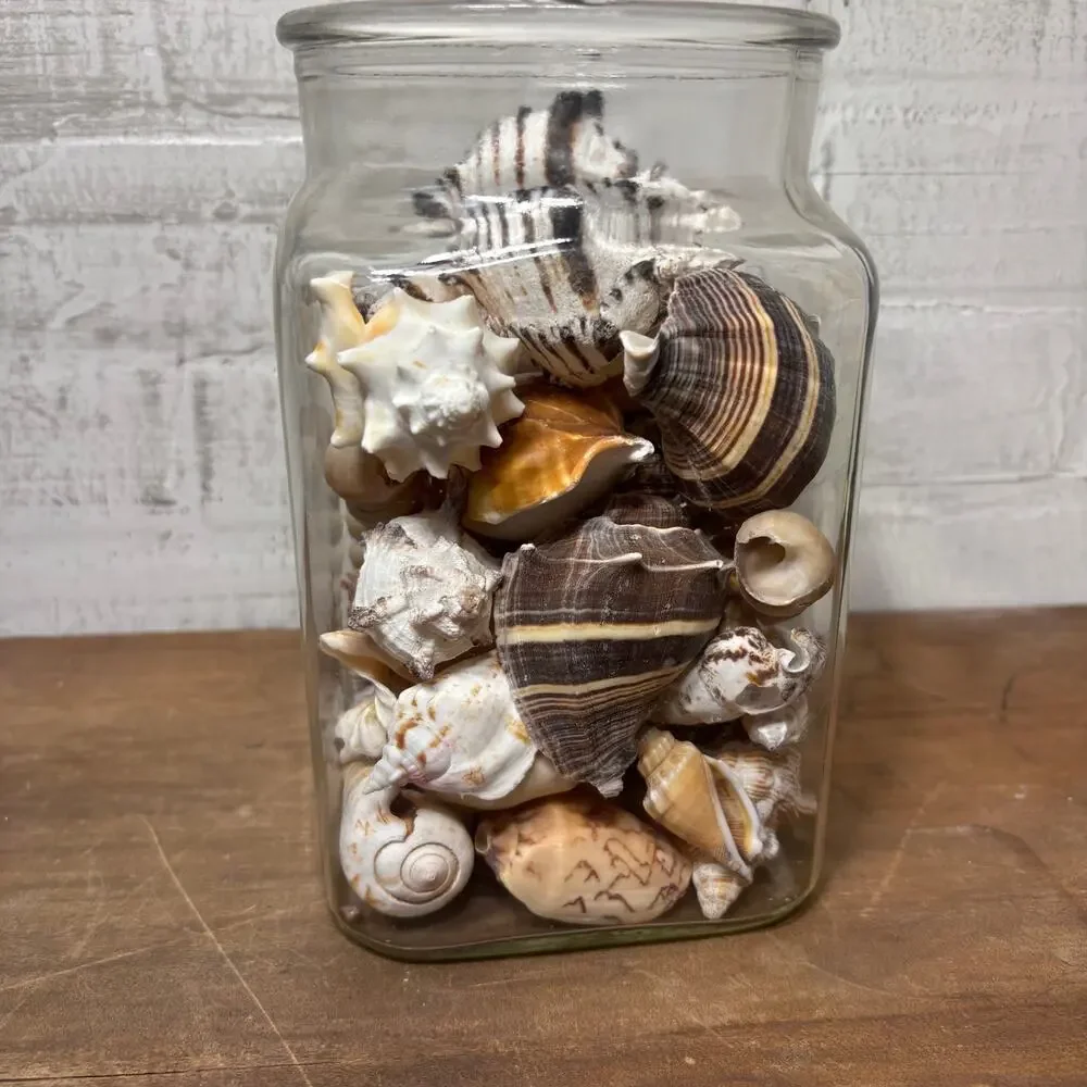 Large Glass Jar Filled with Assorted Seashells